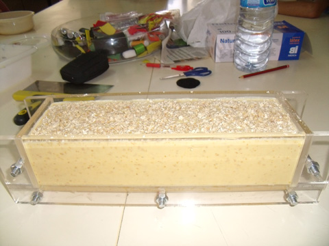 GEDC0959.JPG