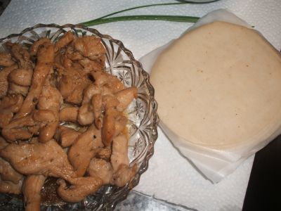 pollo pasta empanadillas