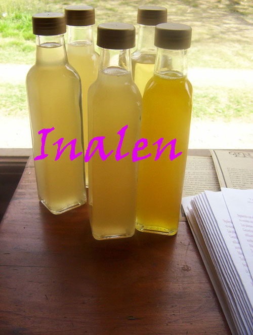 botellas-varias-jabon-liqui.jpg