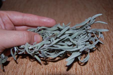 Está claro que es una lavándula, puede que latifolia.