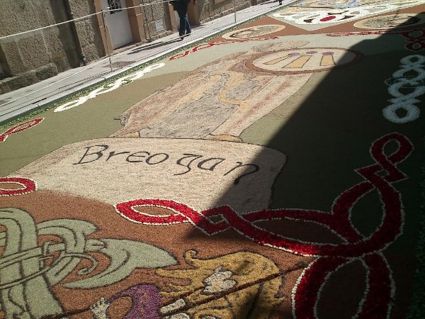 Breogan Ajuste.jpg