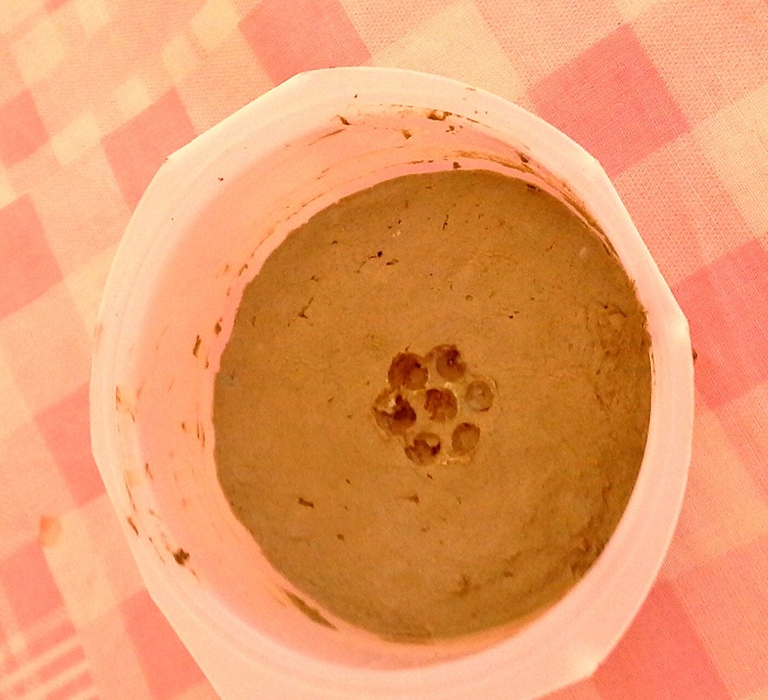 piedra.jpg