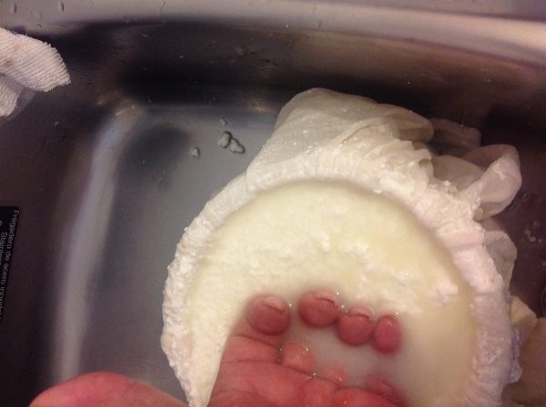 QUESO 3.jpg