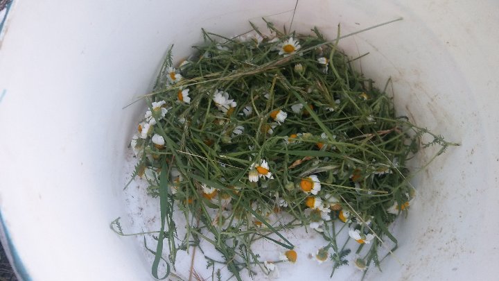 20180628_214952.jpg