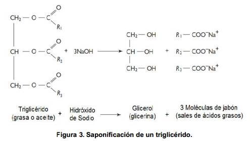 saponificacion.jpg