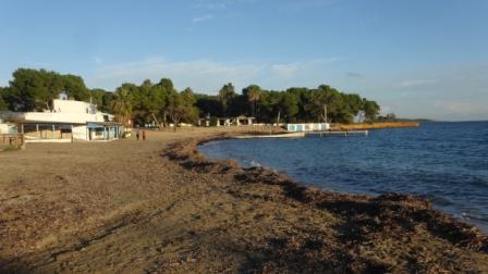 Playa Ibiza con posidonia.jpg