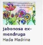 mendrulandia hada madrina jabonosa ex-mendruga.jpg