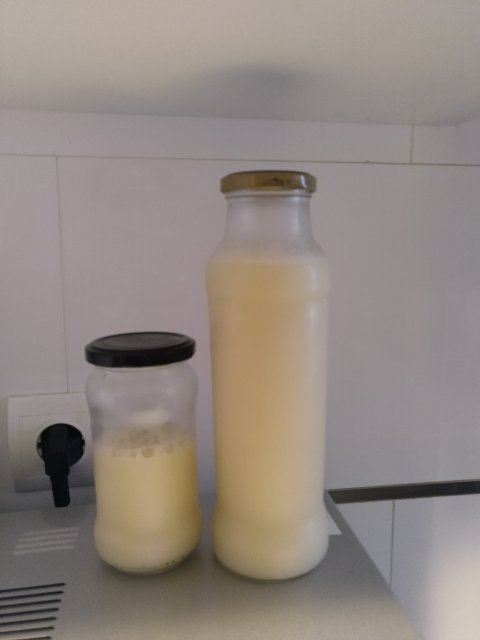 Tras dos días en el frigo