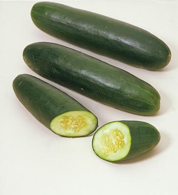 pepino.jpg