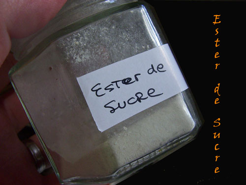 Ester-de-Sucre.jpg