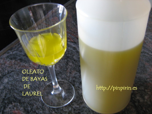 oleato laurel0001.jpg