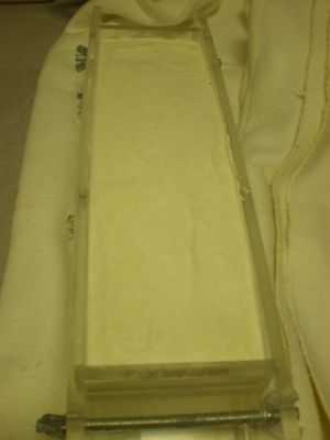 P1010272_300_400[1].jpg
