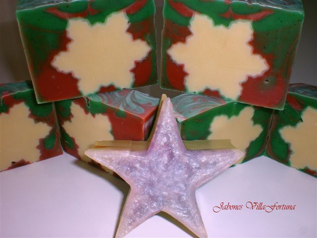 Estrellas de Navidad 2010 010a.jpg